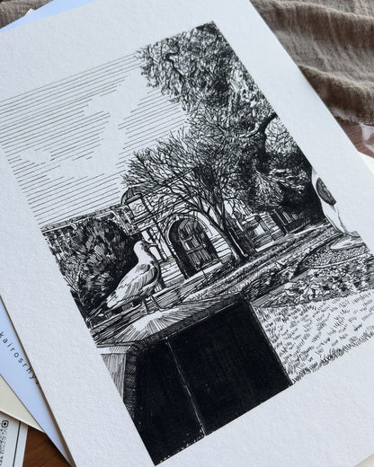 St Stephen’s Green — A4 Fine Art Print